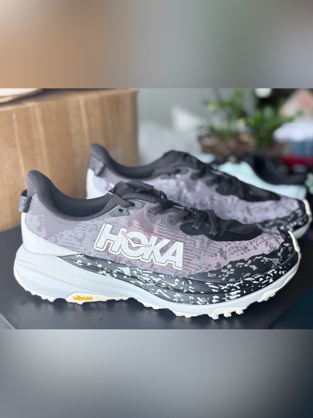 Hoka SpeedGoat 6